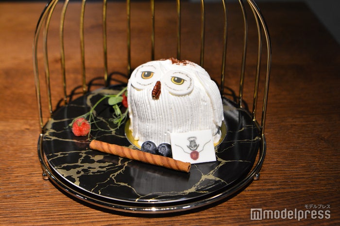 ワーナー ブラザース スタジオツアー東京 ‐ メイキング・オブ・ハリー・ポッター(C)モデルプレス